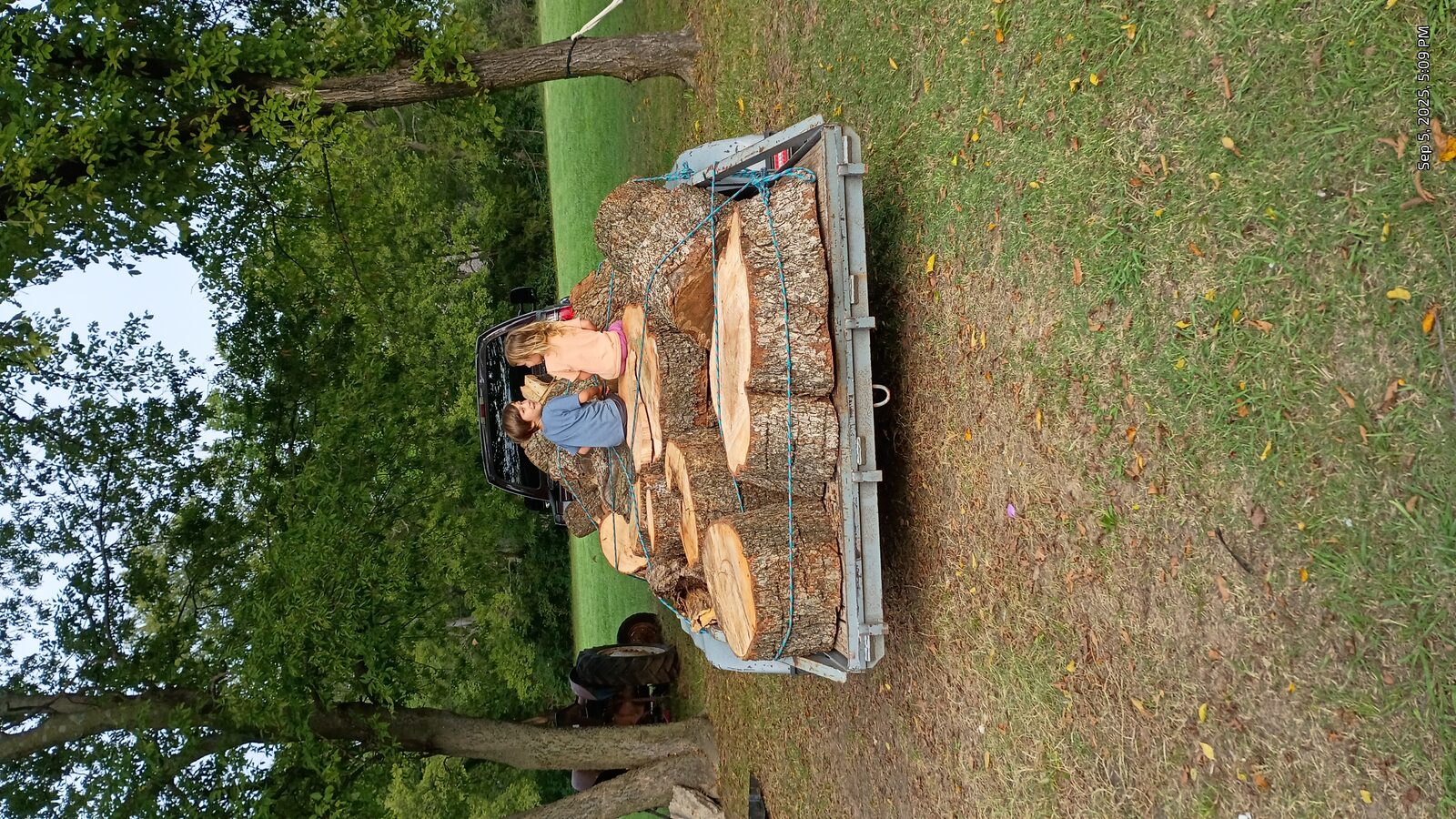 Trailer loaded with black cherry logs