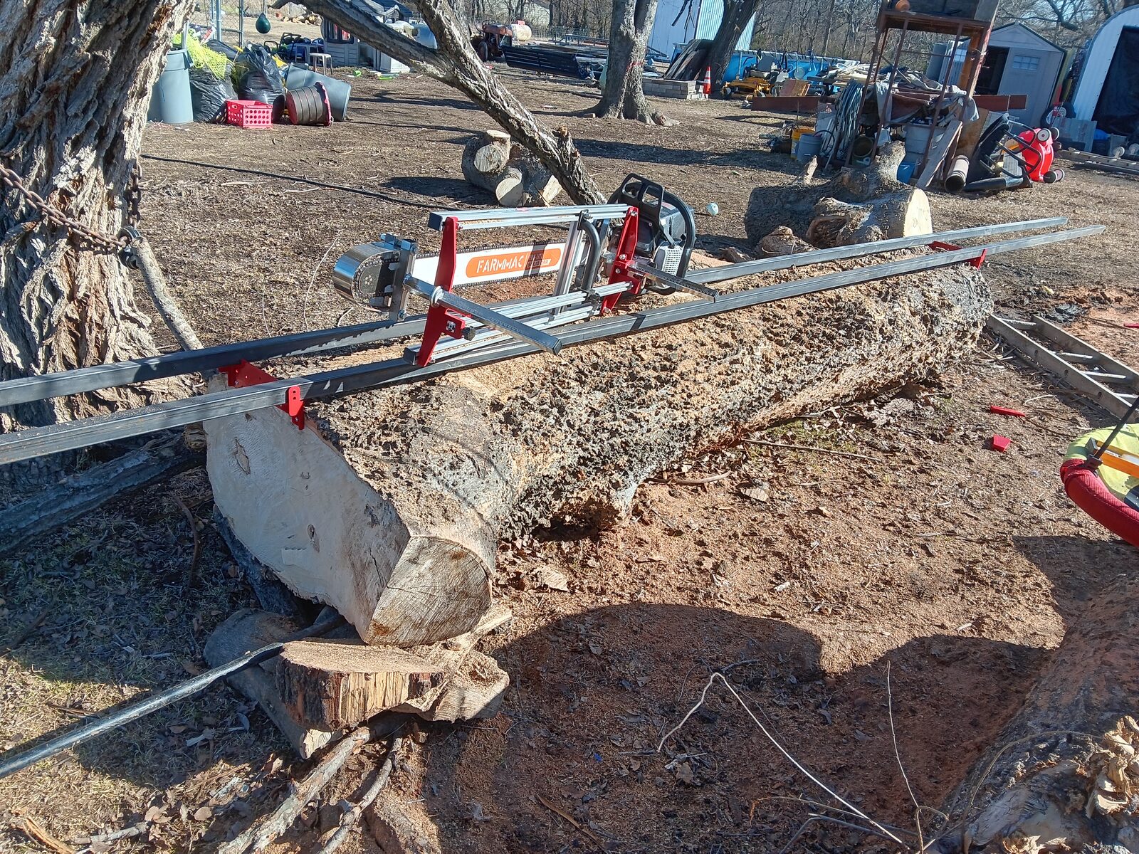 Chainsaw mill clamped to the hackberry log