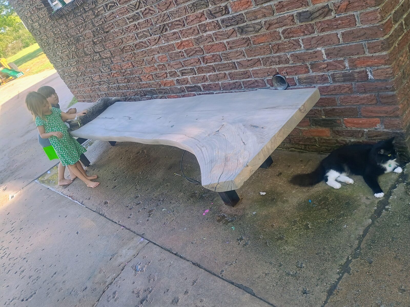 Bench on welded steel legs, kids and cat inspecting