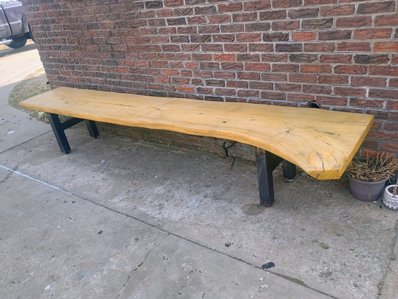 Finished hackberry bench — front view